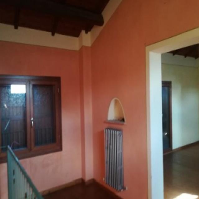 photogallery 3