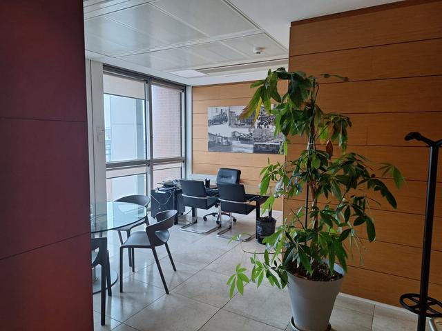 Grandi dimensioni in vendita