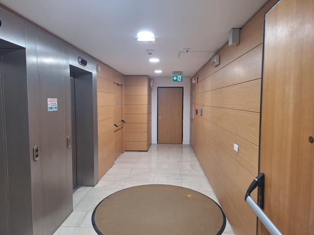 Grandi dimensioni in vendita