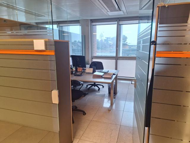 Grandi dimensioni in vendita