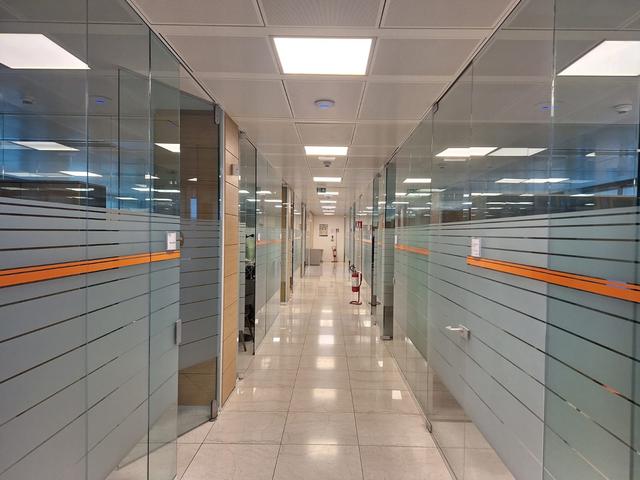 Grandi dimensioni in vendita