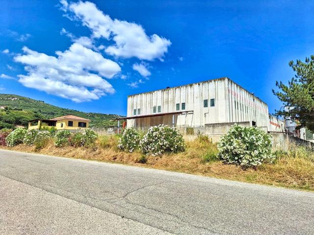 #2536074 Capannone industriale con impianto fotovoltaico in vendita - foto 1