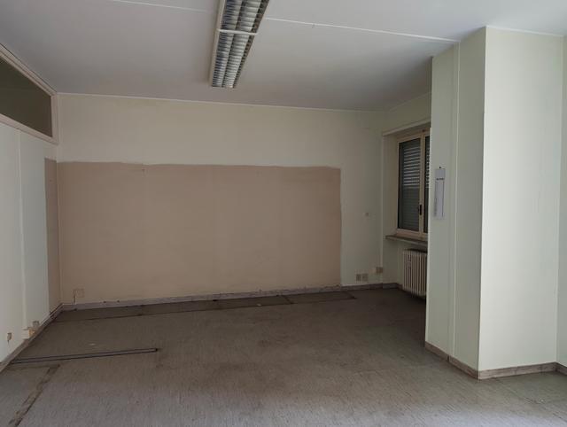 Grandi dimensioni in vendita