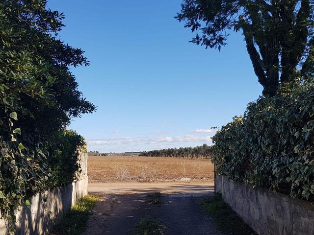 Ville in vendita
