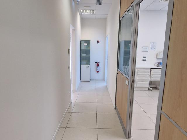 Grandi dimensioni in vendita