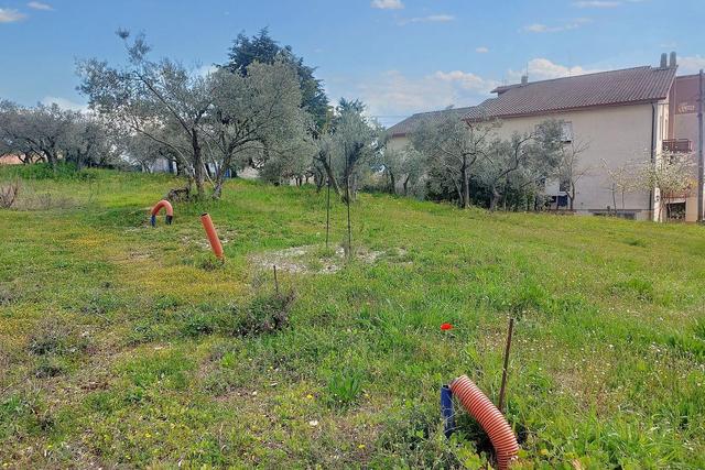 #20714 Terreno edificabile di 2235 mq in vendita - foto 10