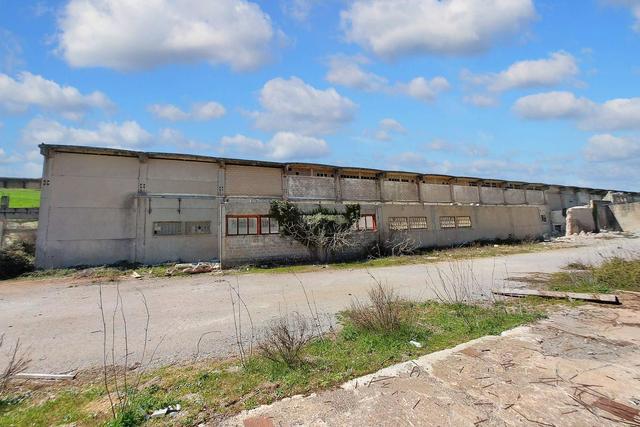 #20445 Complesso produttivo con possibilità di ampliamento in vendita - foto 11