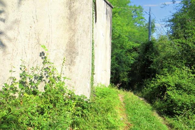 #20928 Appezzamento boschivo collinare di 14980 mq in vendita - foto 1