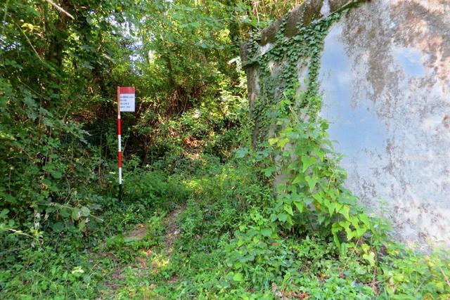 #20928 Appezzamento boschivo collinare di 14980 mq in vendita - foto 6