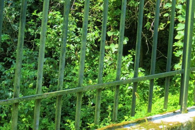 #20928 Appezzamento boschivo collinare di 14980 mq in vendita - foto 12