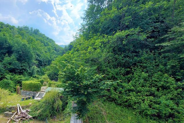 #20928 Appezzamento boschivo collinare di 14980 mq in vendita - foto 3