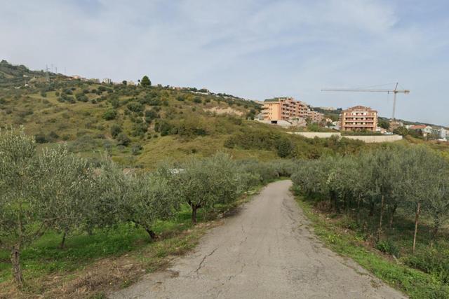 Agricoli in vendita