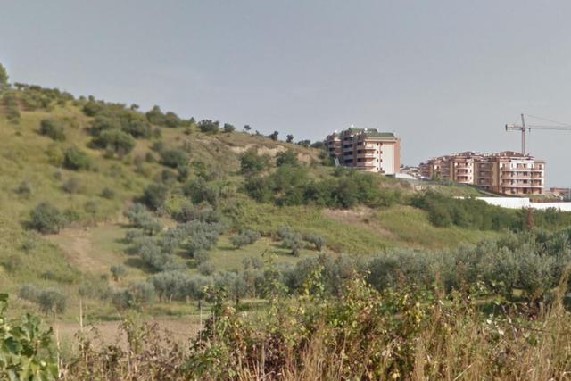 Agricoli in vendita