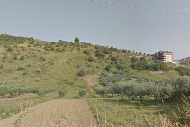 Agricoli in vendita
