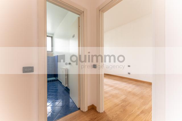 Grandi dimensioni in vendita