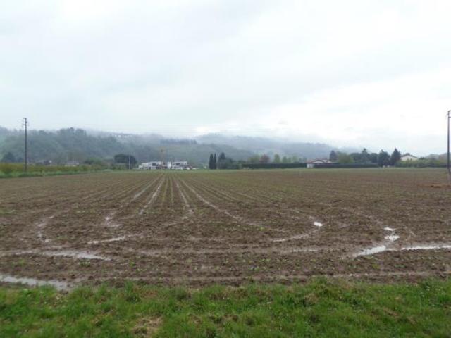 Agricoli in vendita