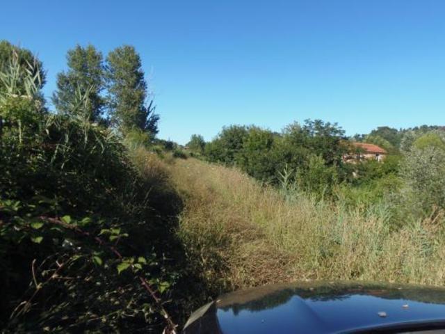 Agricoli in vendita