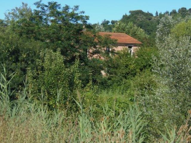 Agricoli in vendita