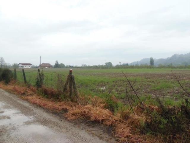 Agricoli in vendita