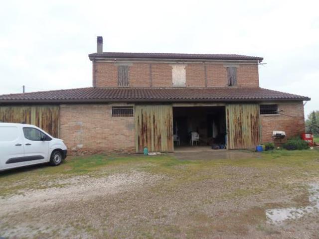Agricoli in vendita