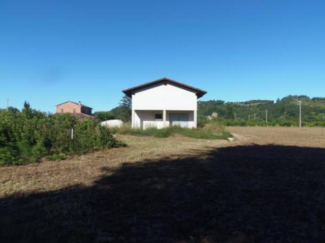 Agricoli in vendita