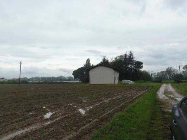 Agricoli in vendita