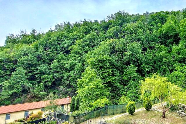 #20926 Appezzamento boschivo collinare di 5727 mq in vendita - foto 1