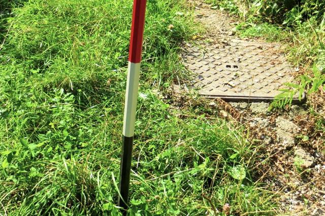 #20926 Appezzamento boschivo collinare di 5727 mq in vendita - foto 10