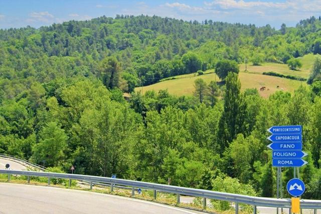 #20968 Appezzamento boschivo in zona collinare in vendita - foto 1