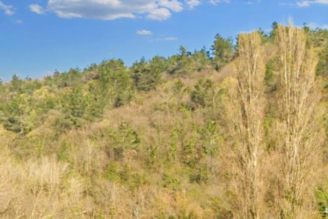 #20968 Appezzamento boschivo in zona collinare in vendita - foto 7