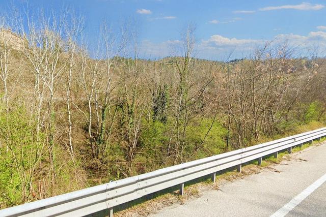 #20968 Appezzamento boschivo in zona collinare in vendita - foto 8