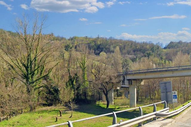 #20968 Appezzamento boschivo in zona collinare in vendita - foto 2