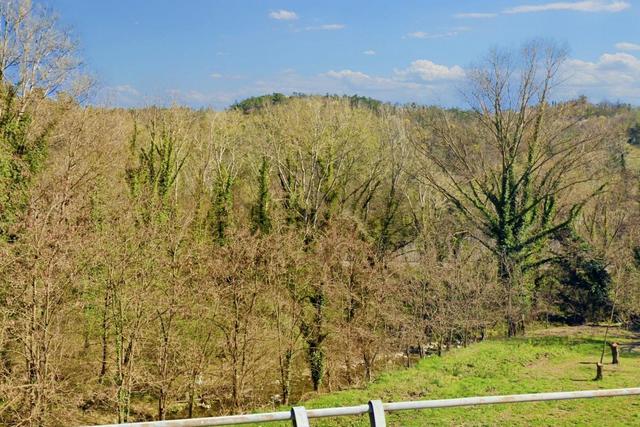 #20968 Appezzamento boschivo in zona collinare in vendita - foto 11