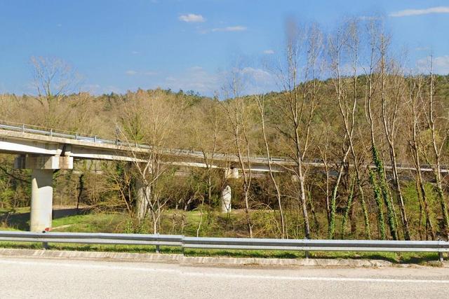 #20968 Appezzamento boschivo in zona collinare in vendita - foto 12
