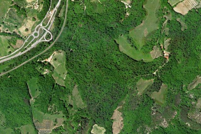 #20968 Appezzamento boschivo in zona collinare in vendita - foto 6