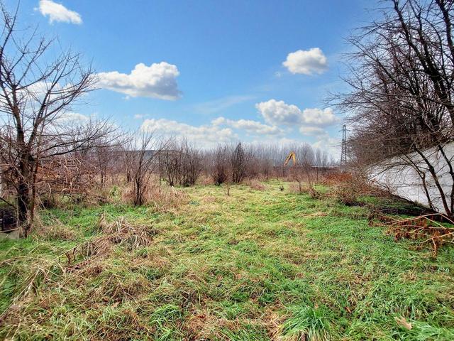photogallery 3