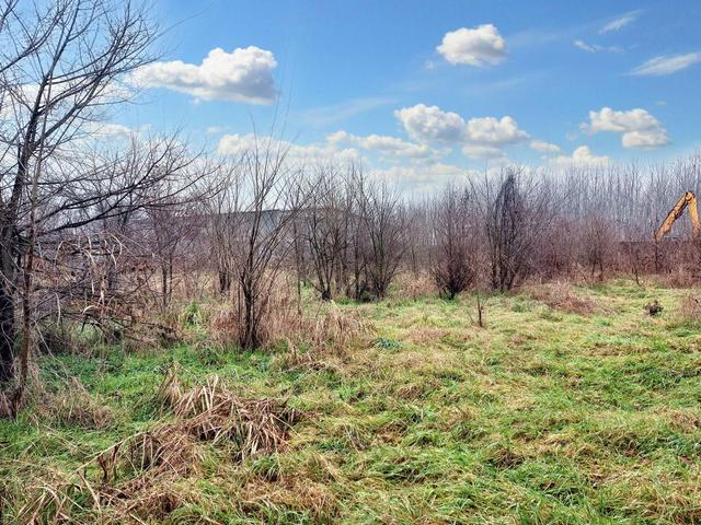 #23901 Terreno edificabile artigianale di 2.836 mq in vendita - foto 11