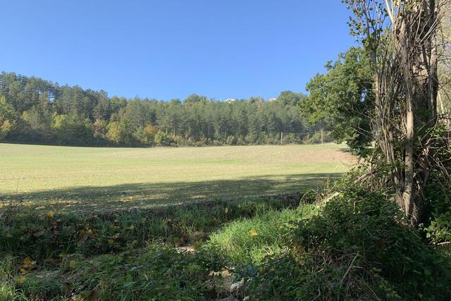 Agricoli in vendita