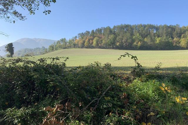 Agricoli in vendita