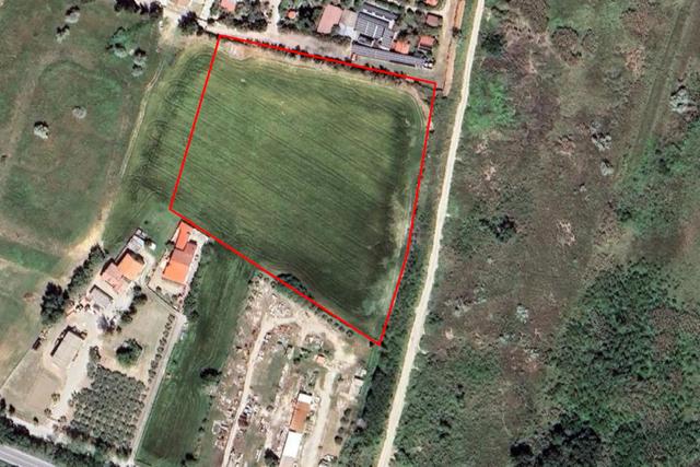 Agricoli in vendita
