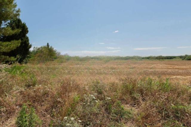 Agricoli in vendita