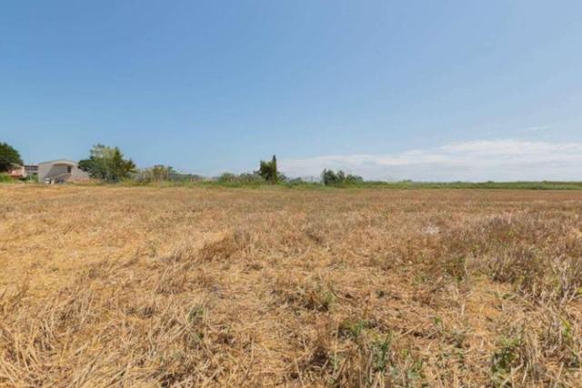 Agricoli in vendita