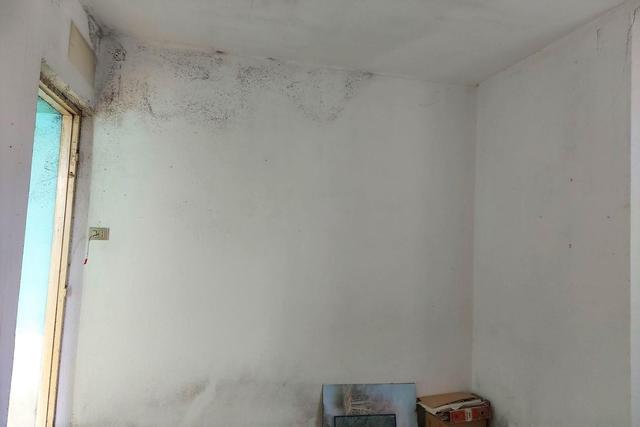 #19429 Complesso artigianale con cortile e pertinenze in vendita - foto 18