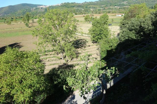 Magazzini in vendita