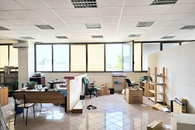 Grandi dimensioni in vendita