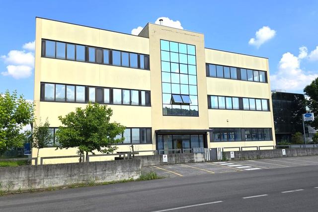 Grandi dimensioni in vendita