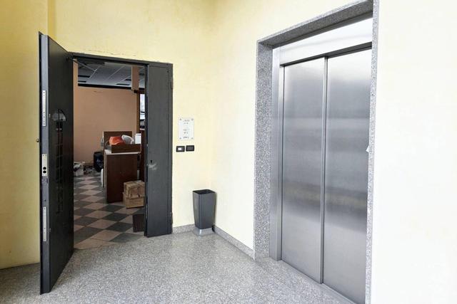 Grandi dimensioni in vendita