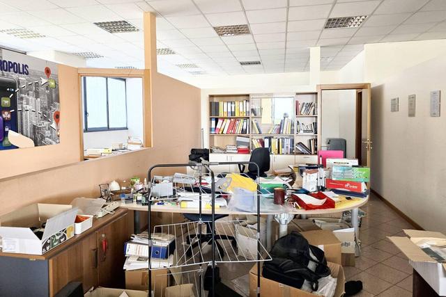 Grandi dimensioni in vendita