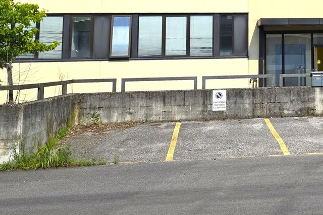 Grandi dimensioni in vendita
