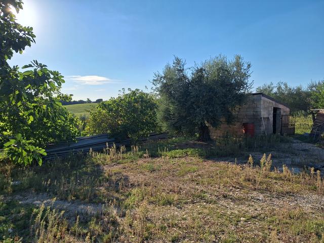 Rustici e casali in vendita